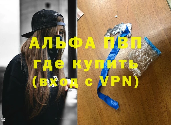 спайс Каменка