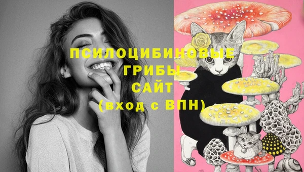 трава Каменногорск
