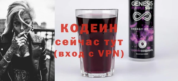 спайс Каменка