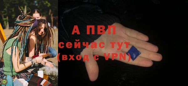 трава Каменногорск