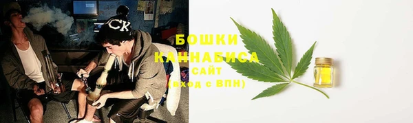 спайс Каменка