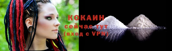спайс Каменка