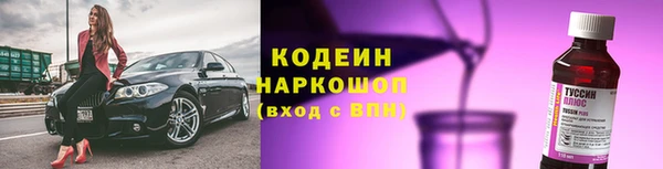 спайс Каменка