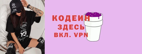 спайс Каменка