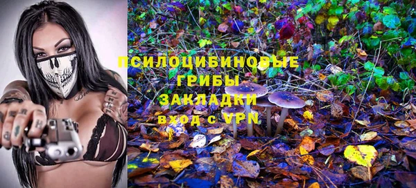 спайс Каменка