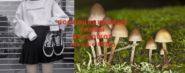 трава Каменногорск